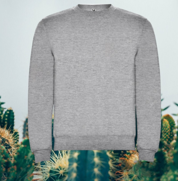 Джемпер CLASICA унисекс на флисе / Свитшот